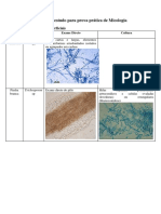 Roteiro de Estudo para Prova Prática de Micologia