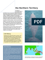 Dugongs in NT ..By The N.T Gov.