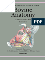 Bovine Anatomy, An Illustrated Text