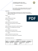 PLAN DE TRABAJO - D. Ambi