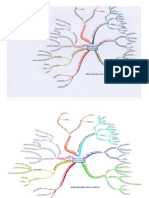 Mapa Mental Broca de Triconos