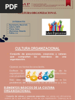 Cultura Organizacional
