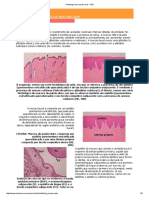 Histologia da mucosa oral - UBC.pdf