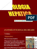 1.2.0-Fisiologia_Hepatica