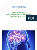 CEREBRO Y PERSONA. Power Point PDF