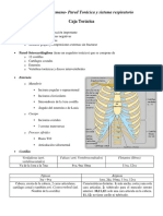 Resumen Anato #4 PDF