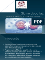 Glomerulopatias: causas, sintomas e tratamento das doenças renais