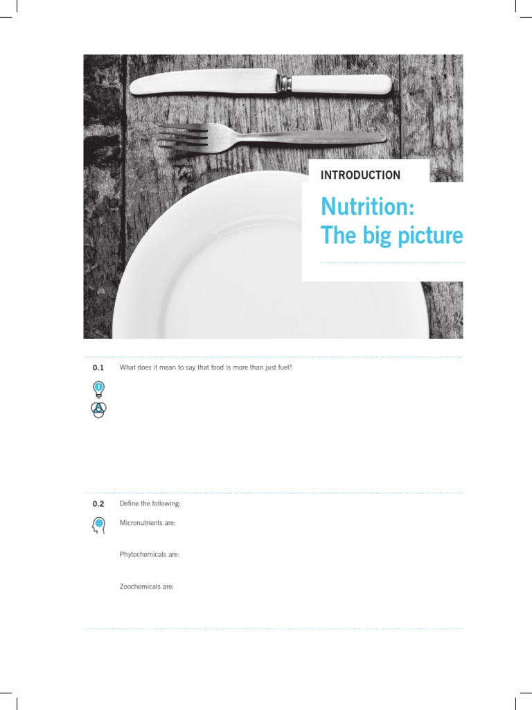 Understanding Food Beyond Fuel | PDF