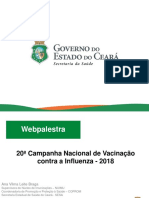 Web Palestra Influenza SESA