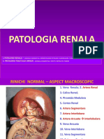 Patologia renala - Anomalii congenitale, nefropatologii, tumori renale si tractului urinar