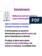 T6_biotrans-pagina.pdf