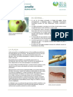 FCP Cydia Pomonella ES Rev01