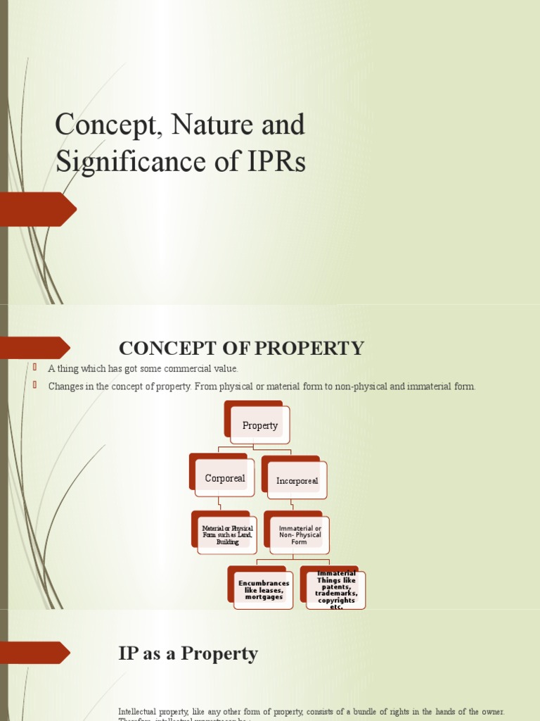Understanding Intellectual Property Rights | PDF | Intellectual ...