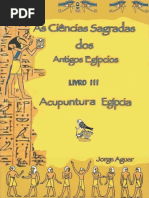 As Ciências Sagradas Dos Antigos Egípcios Acupuntura Egípcia (as Ciências Sagradas Do Antigos Egípcios Livro 3)_nodrm