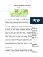 De Canaria Et de Insulis Ultra Hispaniam Noviter Repertis