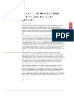 Molecular Muscle Fibre Typing and Pig Meat Quality