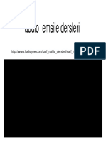 EMSILE