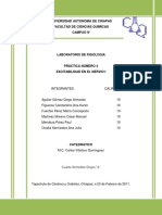 54330257-Practica-No-4-Excitabilidad-Del-Nervio-i-Fisiologia.docx
