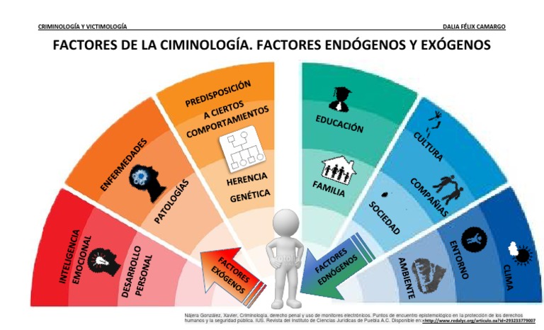 Factores Endógenos y Exógenos PDF | PDF