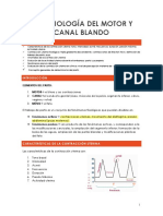 13. Fisiología del motor y canal blando.pdf