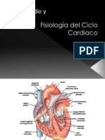 29.-fisiologia-del-ciclo-cardiaco-y-bombeo[1]