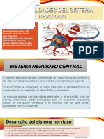 Introducción Al Sistema Nervioso