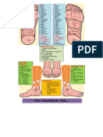 Peta Akupresur Kaki PDF