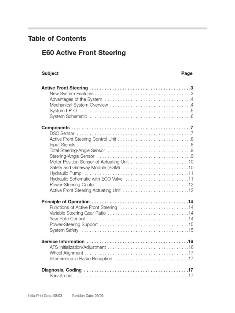 06 - E60 Active Front Steering | PDF | Steering | Electric Motor