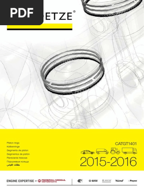Goetze 2014 | PDF
