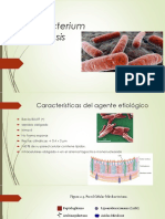 Mycobacterium Tuberculosis