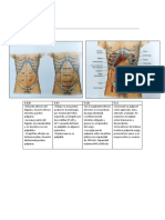 Preopedeutica Médica - Repaso Primer Parcial PDF
