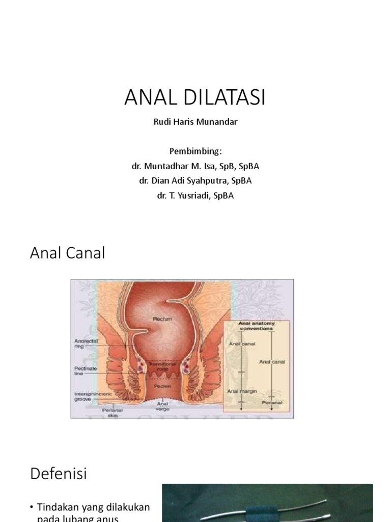 Busty ona bilan porno video