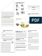 Triptico de Pruebas Complementarias de Libros