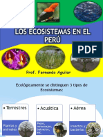 Los Ecoistemas en El Peru