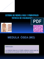 Estudio de Medula Osea