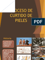 DIAPOS PROCESO DE CURTIDO.pptx