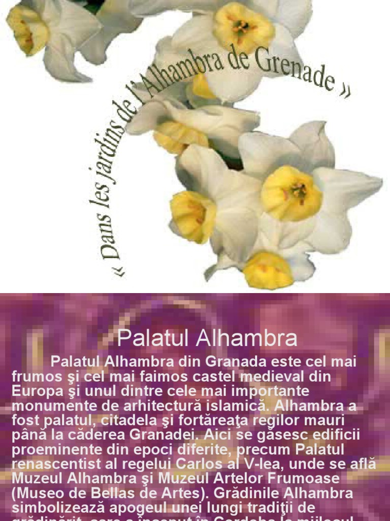 Gradinile Si Palatul Alhambra | PDF