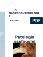 Curs 2 Gastro Esofag