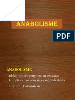 Anabolism e
