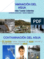 Contaminación Del Agua