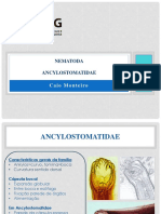 3 - Ancylostomatidae (1)