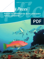 Aplica Peces 2014 Manual Identificación PDF
