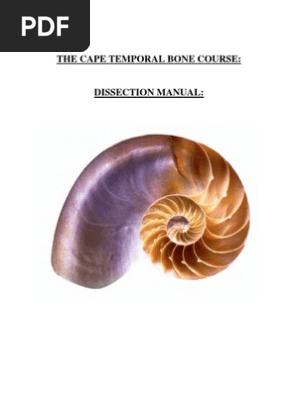 Temporal Bone Dissection Manual Ear Anatomical Terms Of - 