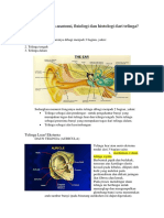 Step 7 1. Bagaimana Anatomi, Fisiologi Dan Histologi Dari Telinga? Anatomi