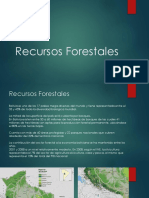 RecursosForestalesBolivia