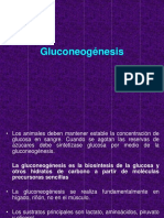 gluconeogenesis.pdf