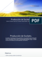 Proyecto para Produccion de Sockets