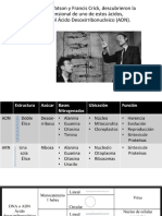 acidos nucleicos.pptx