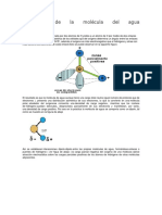 Estructura de La Molécula Del Agua