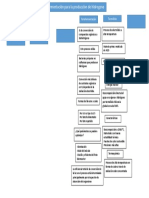 Mapa Conceptual